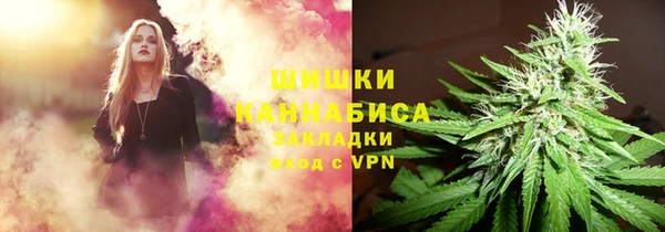 дживик Пересвет