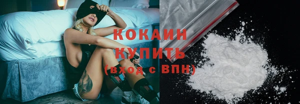 винт Осинники