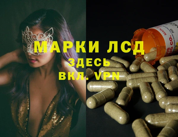 молекула духа Болотное