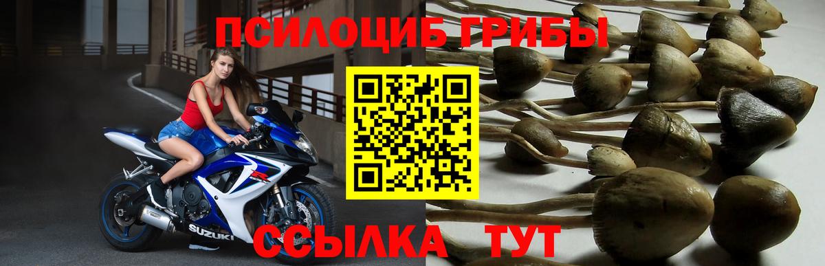 Псилоцибиновые грибы мухоморы Великий Новгород